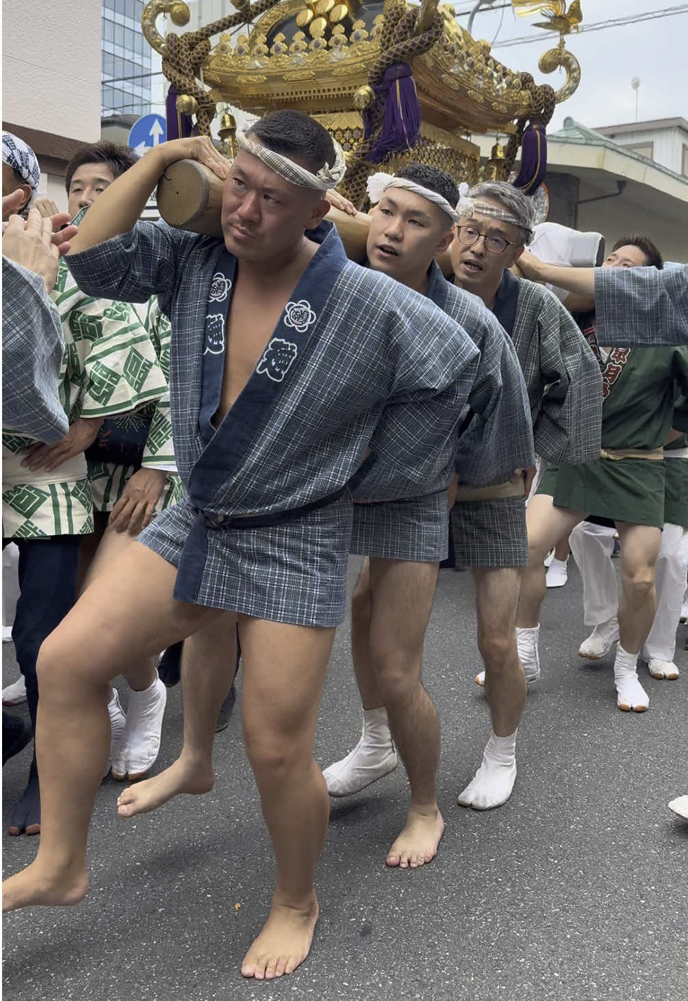 鳥越まつり　阿部川町会 #鳥越神社#鳥越神社例大祭  #鳥越まつり#神輿#半纏 #湯島公道会#公道会　