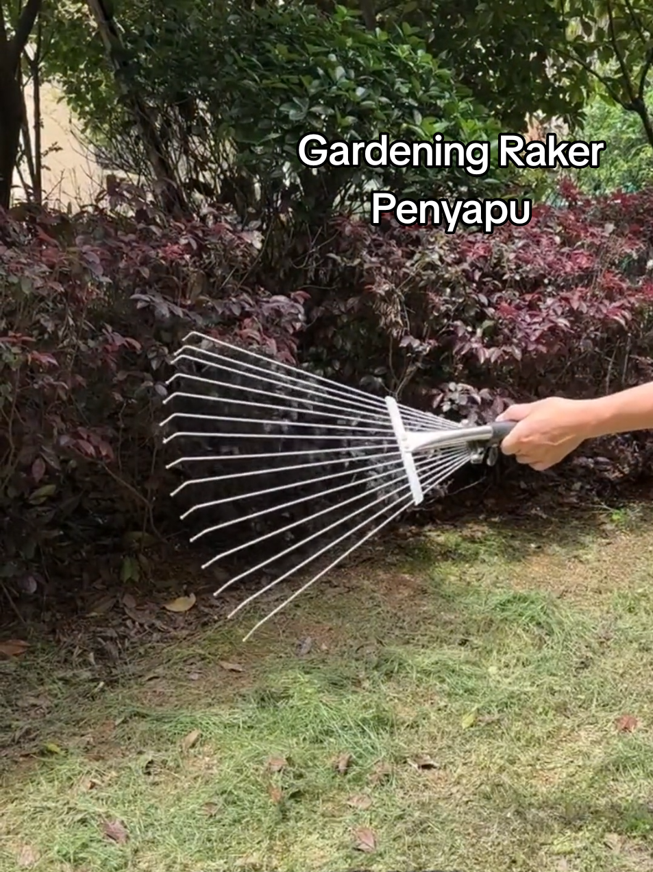 Rumah penuh daun… hati pun penuh tekanan...Guna penyapu ni !!! #gardeningraker #gardening #raker #cakarsampah #penyapu #penyapuviral #penggaruk #fyp #multifunctionalhandheld 