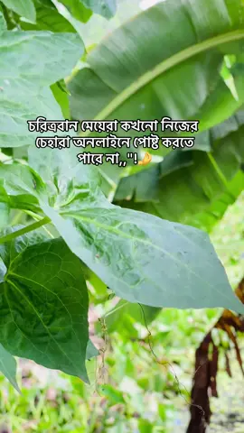 চরিত্র বান মেয়েরা কখনো নিজের চেহারা অনলাইনে পোষ্ট করতে পারে না,,