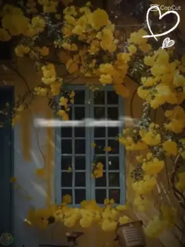 #না পাইলে তোর দেখা যাবে #😍😍😍😍❤️❤️❤️#🥰🥰