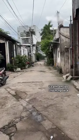 Khu tao sống. đợi mày cả buổi rồi đó.