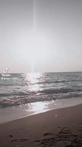 🩵🌊