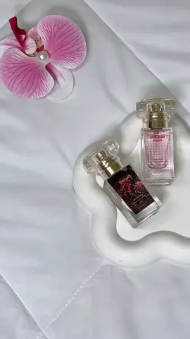 Szindore perfume dupe bbw! Bau soft, wangi & tahan lama 🎀🌼💐 #szindore #szindoreperfume #szindorebbw 