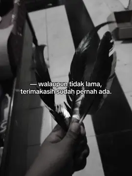 #CapCut jek tak jogo le wulu mu🥀🐓#ayamhebat🐓 #ayammeninggal #selamattinggal👋🏻 #fyppppppppppppppppppppppp #fyppppppppppppppppppppppp 