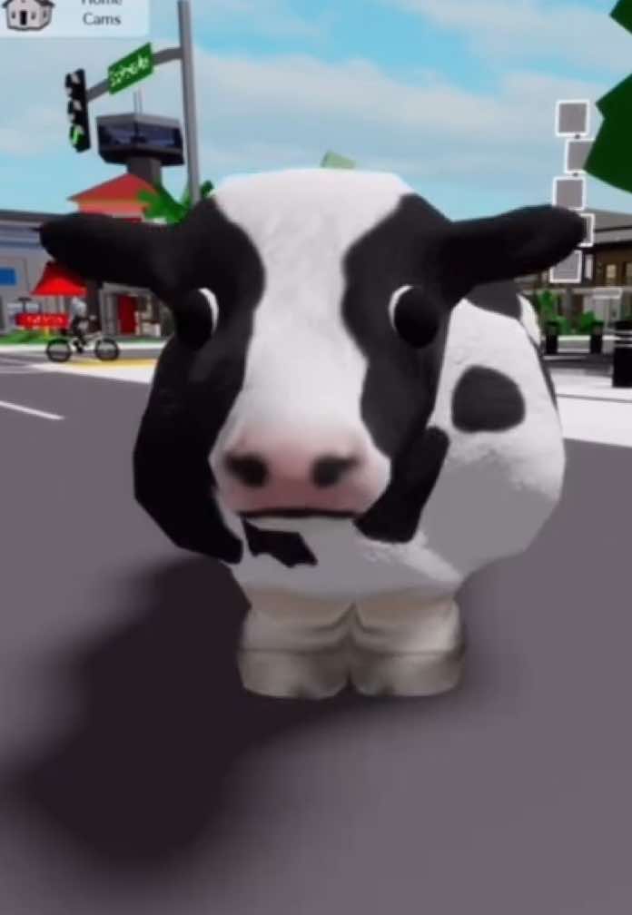 let’s see their outfit in brookhaven PART3 [final part]🔍😳 #brookhaven #brookhavenroblox #roblox #robloxfyp #fyp #game #robloxian #moots? #trending 
