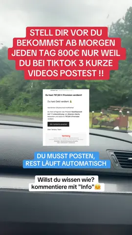 800€ verdienen klingt verrückt? Dachte ich auch. Bis ich einfach gestartet bin! Wie? Kein Vorwissen, kein Risiko. Nur TikToks posten schreib „Info'