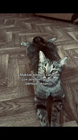 Çəkiləsi dərd döll))