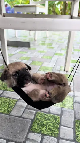 Trời ơi sao mà thử thách con dữ vậy#hoàngnga #niemvuimoingay #làmvuoncungtiktok 