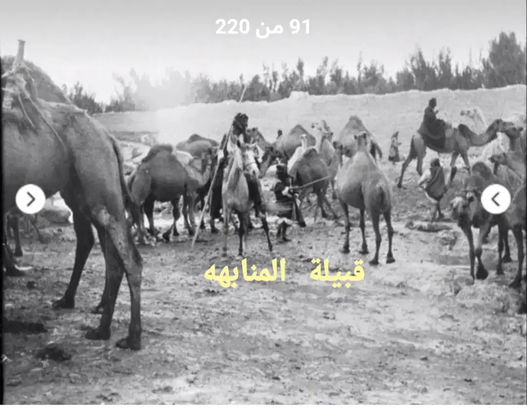 #fyp #بني_وهب_ضنا_مسلم #المنابهه_الخماعلة_الفقرا_المصاليخ_الحسنة #عنزه_حكام_الجزيره #بكربن_وائل #بني_وايل #ذي_قار #اكسبلور_تيك_توك #اكسبلورexplore #foryou #مالي_خلق_احط_هاشتاقات #حايلندا #تيك_توك #