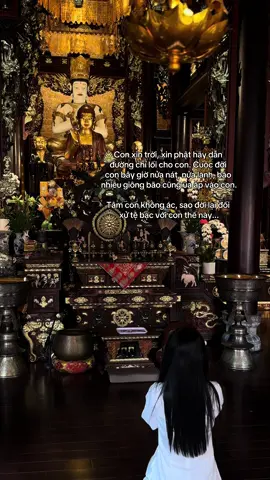 Nam Mô A Di Đà Phật🙏#reviewdodichua #dichuamacgi #phật #phapphucdichua #viral #loiphatday #nammoadidaphat #xuhuớng 