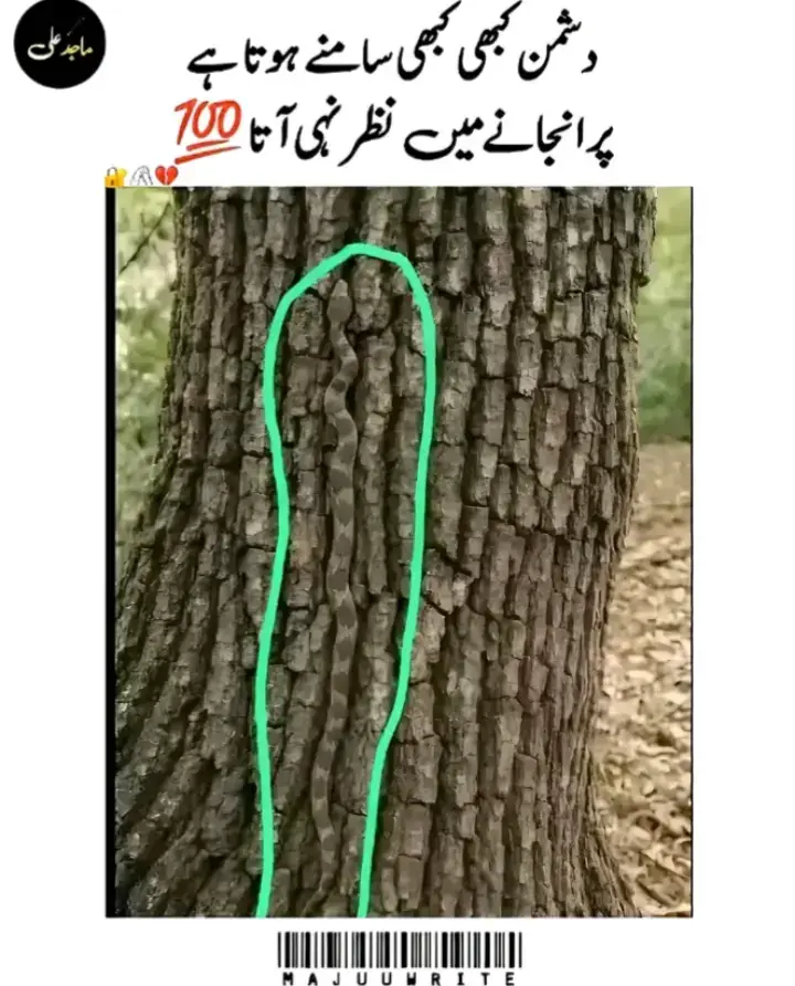 #foryoupageoffical #viralvide 🥀🥹🙂💔#