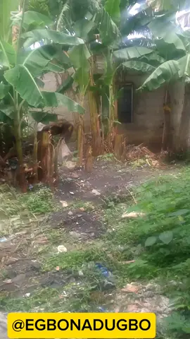 #bellakcomedy #views #egbonadugbo #portharcourt #ilorintiktoker #egbonadugbo4 #asir #ozain #kamostate #movie  #yahaya #fypシ゚ #africa #abok #yorubatiktok #movie#comedia #highlight #beginner #car #capcutamor #viralvideos #bigbillionstar #bigbrother #bestfriend #worldwide 