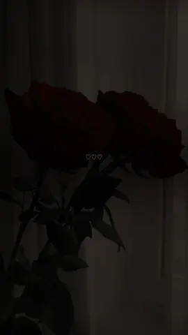 لانك انت لي دنيا 🥺🫀