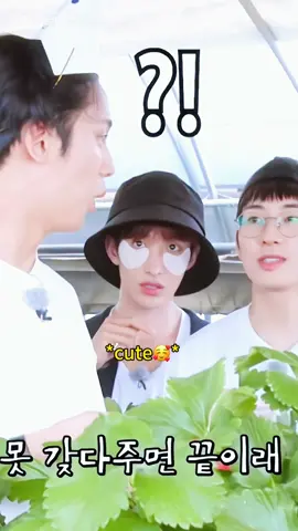 🥰🫶🏻#seventeen #dokyeom #mingyu #wonwoo #svt #carat #foryou #fypツ 