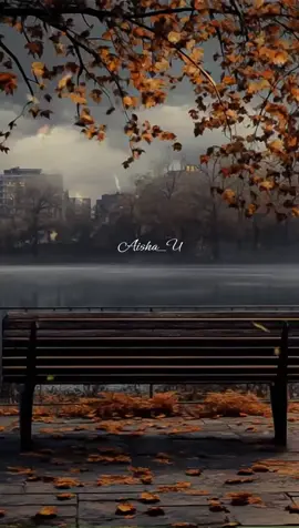 Mujhe Dil Se (Song) #goviral #foryoupage #foryou #fyp #song #poetry #ghazal #shairi #hindisong #music #bollywood #fyy #viral #trending #urdupoetry #sadlines #sadpoetry 