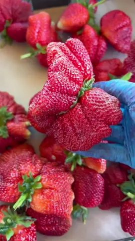 sweet and juicy ripe strawberries 🍓🍓🍓