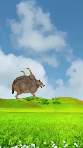 #我要上熱門 今天是老鼠
