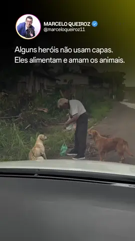 Alguns heróis não usam capas 💜 Nesse vídeo, vemos um verdadeiro exemplo de humanidade: um senhor que dedica seu tempo e carinho para cuidar de animais de rua. Sem recompensas, apenas amor. Que o gesto dele inspire mais corações a olhar com empatia para quem não pode pedir ajuda, mas sente tudo.  Alimente sempre que puder um animalzinho que está em situação de rua 🙏🏼