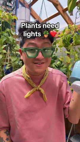 need a new light source? @Barrina.official got you covered! Try the new magnet circle lights called OrbGrow for all your light needs! I love Barrina! #plants #houseplants #growlights #TikTokCreatorSearchInsightsIncentive 