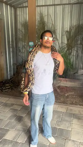🐍 #viral #funny #zoo #snake #animal #animal #relatable #robthedreamer @Jayden Nearor @biracialstacey 
