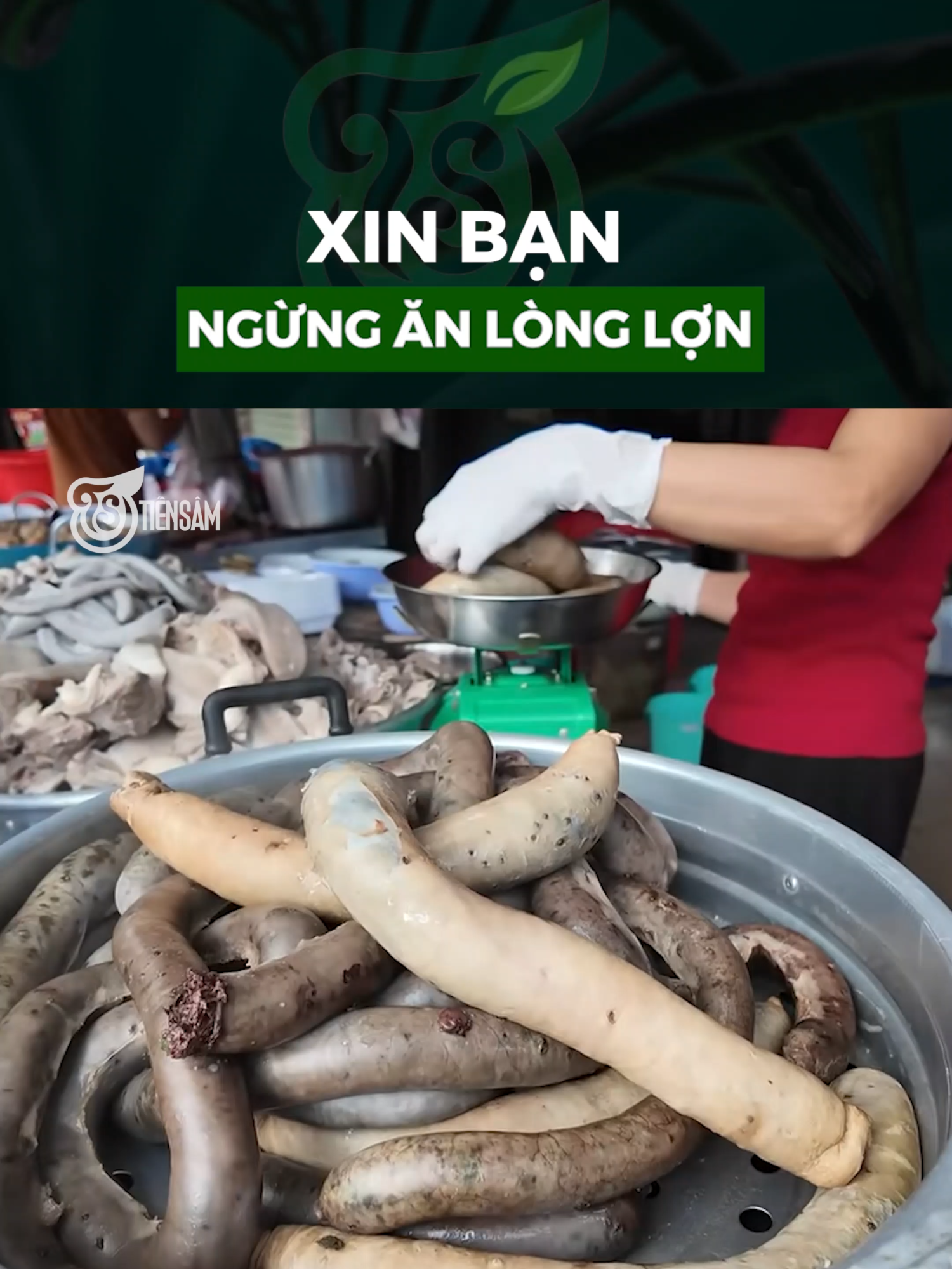 Xin bạn ngừng ăn lòng lợn #tiensam #suckhoe #viral #songlanhmanh #chualanh #leanontiktok #xuhuong #thucpham #noitang
