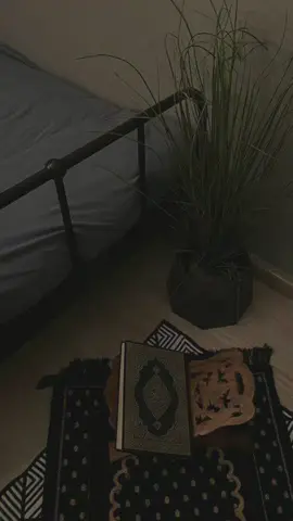 “Allah’ım… Gönlümü ferahlat, kalbimi sabırla doldur, hakkımda hayırlı olanı nasip eyle. Beni bana bırakma. Amin. 🤲” #kesfet #muslim #allahuakbar #quran #fypviralシ 