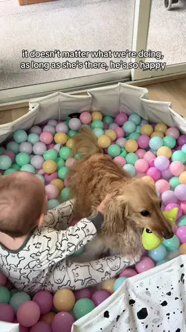 Replying to @Michelle all he wants is to show off his toy and spend time with baby sis 🥺🤍 