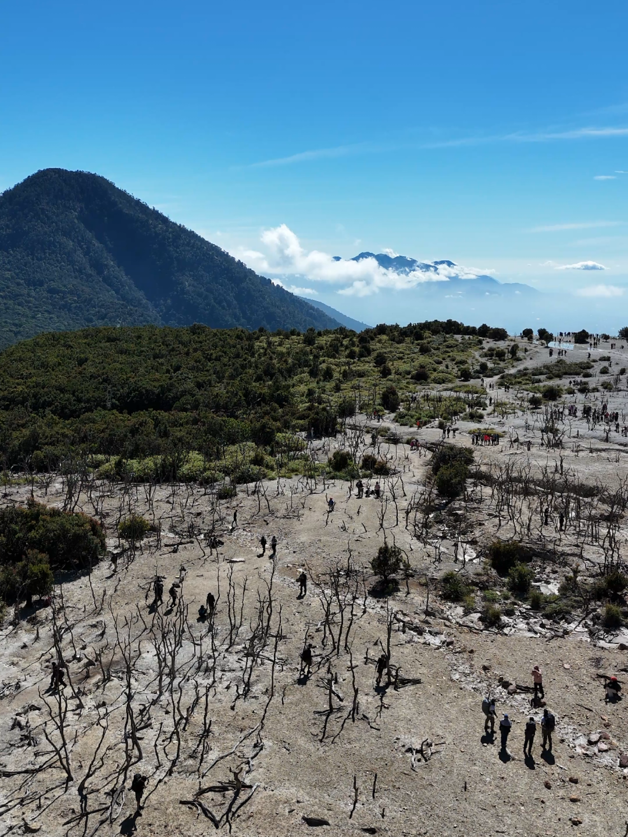 Hutan Mati Papandayan Mt #fyp #fyppppppppppppppppppppppp #fypシ゚  #papandayan #mount  #hutanmatipapandayangarut #wonderfulplaces #dji #mavicmini  #landscape #videodrone #amazing 