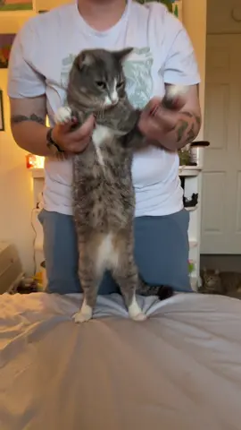 the best dancer out there 