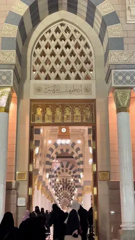 المدينه المنورة🤎 #CapCut #المدينه_المنوره #المدينة_المنورة #الحرم_المدني #explore #اكسبلورexplore 