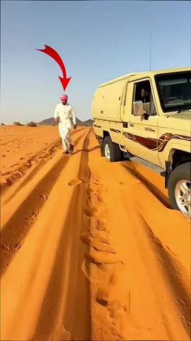 O PEIXE SECRETO DO DESERTO! - Qual nome você gosta mais??? Tom Fred Chico Tico Nico Zezinho Beto