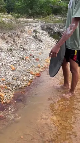 Looking for gold and panning for gold buried in river walls #goldhunter #mininggold #goldpanning #golddiscovery #viralvideo #foryou #foryoupage 