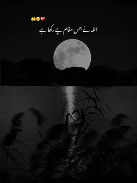 𝐃𝐫.𝐈𝐬𝐫𝐚𝐫 𝐀𝐡𝐦𝐚𝐝 : : : #CapCut #foryou #foryoupage #standwithkashmir #fyp #fypシ゚ #fypviralシviral #viral #100k #whatsappstatus #hajj2025 #kpkpolice #hajj #capcut #illu 
