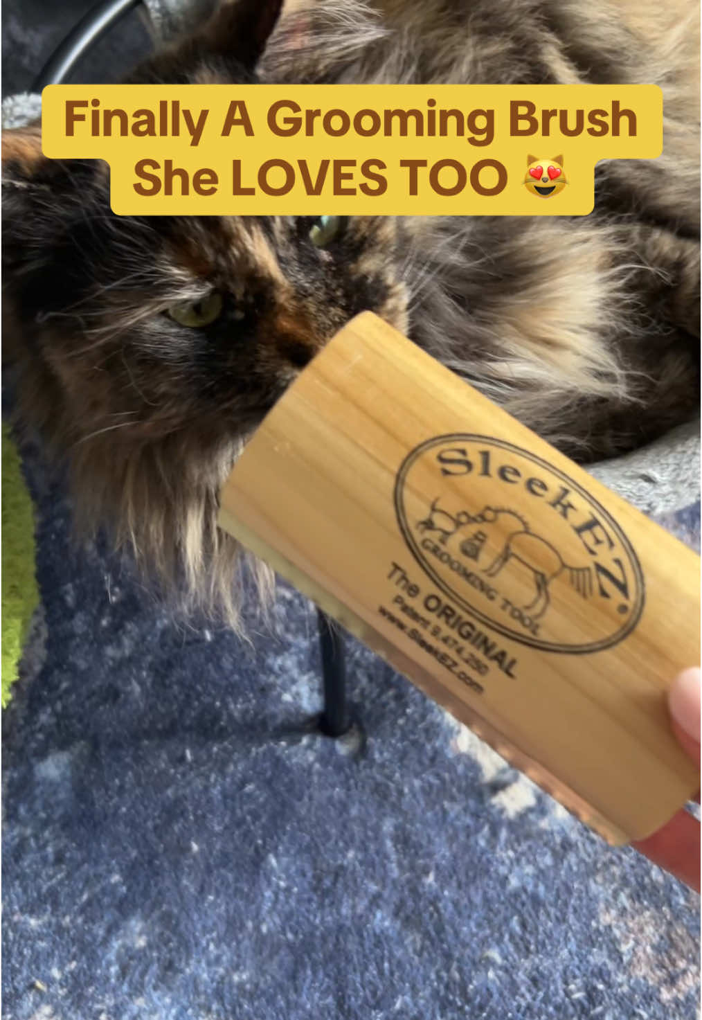 Thanks to the @SleekEZ USA grooming brush our cat now lets me groom her with ease ☺️ #cat #catsoftiktok #cattok #sleekez #sleekezgroomingtool #catgrooming #catbrush #petbrush #catgroomingtips #tiktokshopfinds #tiktokshopsummerturnup #spotlightfinds #fyp 
