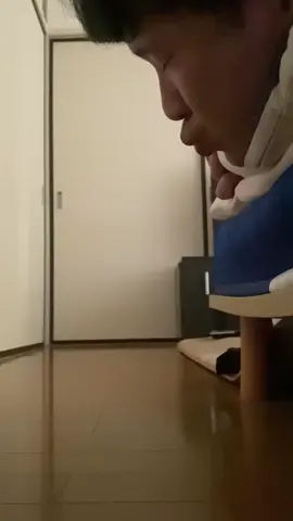 #のキス顔にビックリする猫。　#shorts  #funny