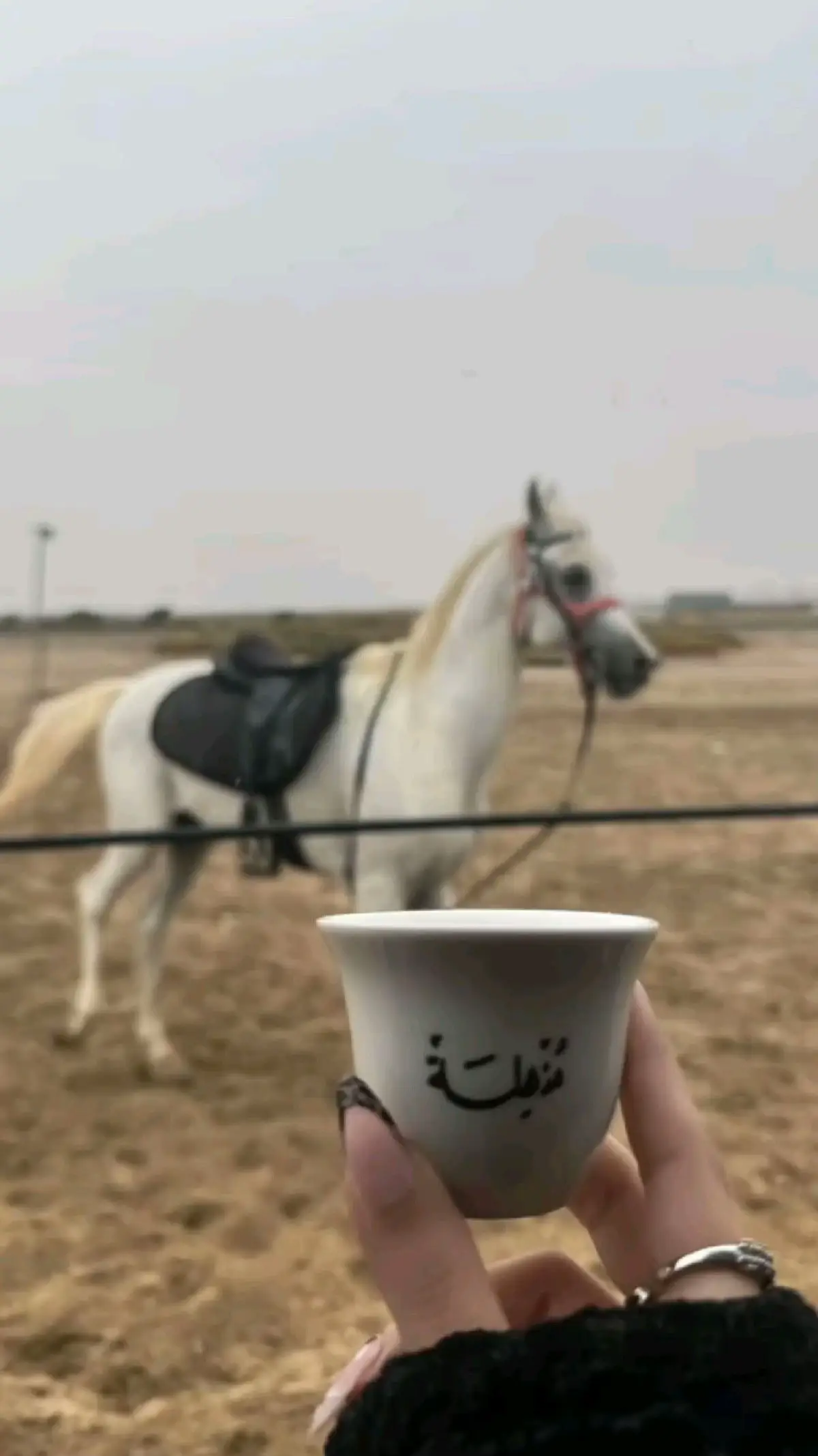 #foryou #اكسبلورexplore 