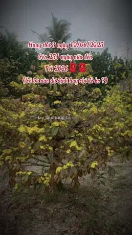 Đẻ trước tết nha mấy bà :)) #tet2026 #nhacxuan #nhachaymoingay 
