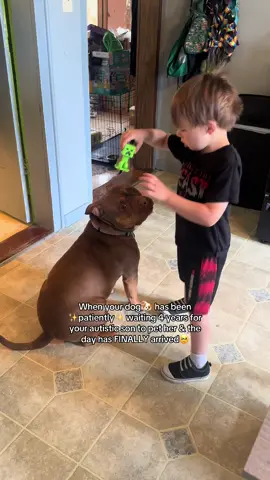 She really said “no sudden movements!” 🤣🤣 sometimes he likes to use his feet to pet her, but she learned real fast that if she moves, he’ll stop so she just stands like a statue when he’s giving her attention 🥹❤️ #bullybreed #doggo #viral #autism #MomsofTikTok #autistic #nonverbal 