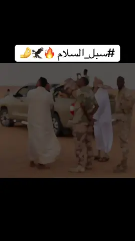 #اعادة_النشر🔃 #كتيبة_سبل_السلام_الكفره_🖤 #سيف_فاطمه_وادي_الغزال_جبل_العوينات #حدود_تشاد_وليبيا🇧🇪🇱🇾 #اكسبلورexplore #fypシ゚ #تيوتا_شعار_لايعرف_القانون🔥🖤💪 #حدود_تشاد_وليبيا🇧🇪🇱🇾 