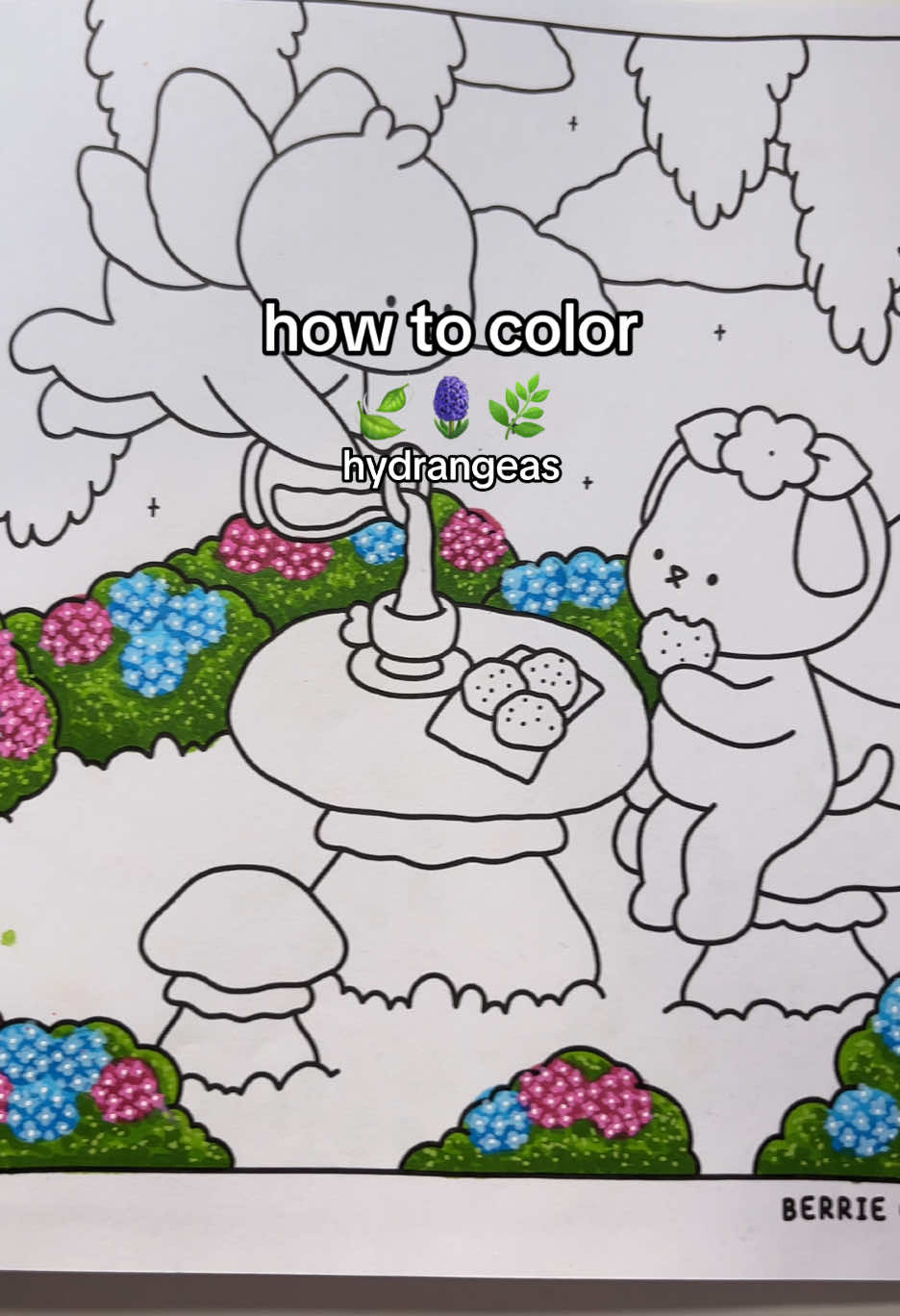 How to color : Hydrangeas!✨💖  Book: Berrie Coloring Fairy Dreams  Materials: Ohuhu markers, Grabie acrylic pens  #berriecoloring #berriecoloringbook #coloringtut #coloringtutorial #howtocolor #coloringbook #coloringpage #coloringtherapy 
