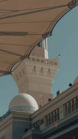 المسجد النبوي #fyp #المدينه_المنوره #madinah #المدينة_المنورة #المسجد_النبوي 