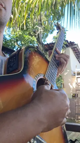 True Love #violao #fingerstyle #fyp 