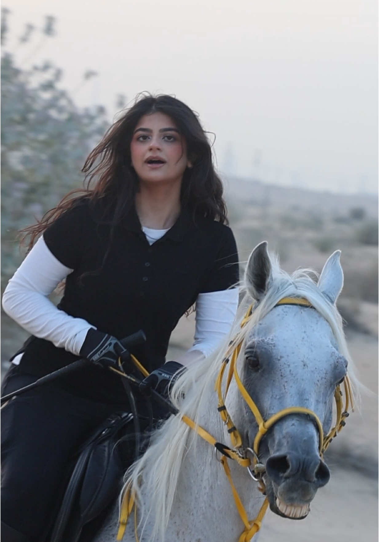 Dubai desert horse riding #muddassar9 #foryoupage #fyp #horse #dubai🇦🇪 