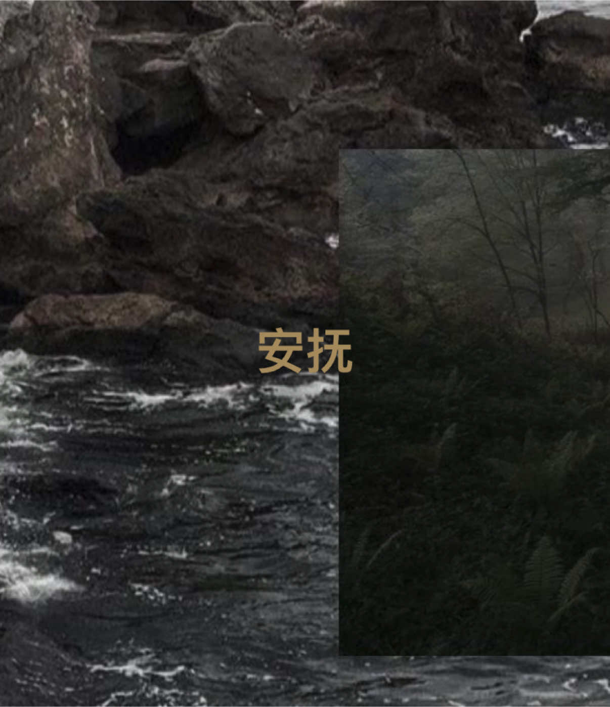 #fypシ゚ #moodboard #targetaudience #japan 