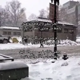 خالد وبس @Khalid Naif 