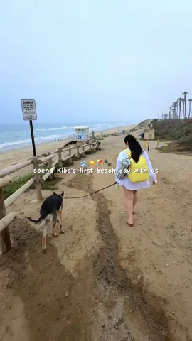 #ad Kiba and I are kicking off summer with his very first beach day 🐾☀️ We used the @The Weather Channel app to check the UV index and timed it just right. How are you spending your first day of summer? #beaforceofnature