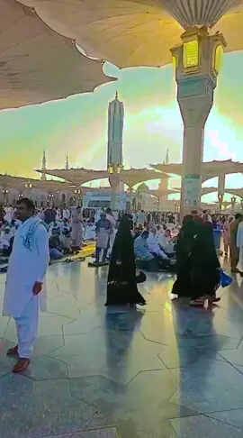 #goviraltiktok #dontunderreviewmyvideo 