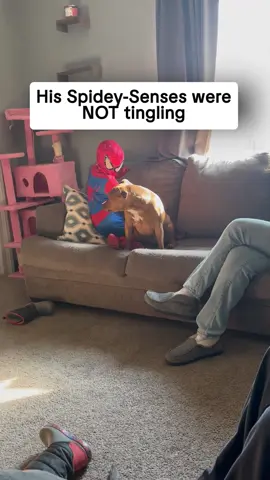 With great power comes poor visibility 🤣 #afv #fail #spiderman #funny