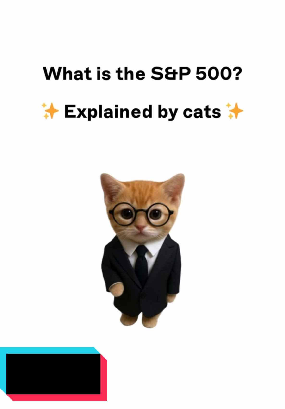 Kitty explain s&p 500 Not financial or investment advice. 