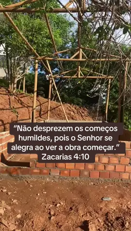Não deixe que ninguém menospreze seu empreendimento! Por menor que ele seja ele tem muito valor! Siga em frente! #aviculturadepostura #avicultura #aviculturacaipira #empreendedorismo